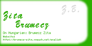 zita brumecz business card